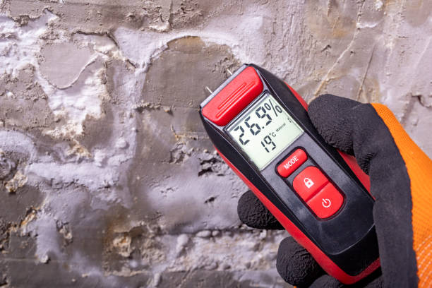 Best DIY Mold Remediation Support Services in Boston, GA