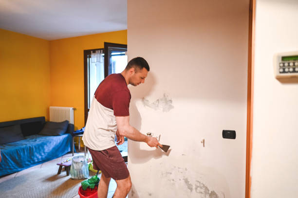 Best Insurance-Related Mold Remediation in Boston, GA